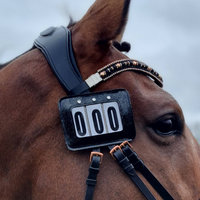 Number holder for bridle or chabrake 