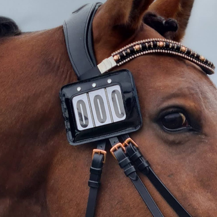 Number holder for bridle or chabrake 